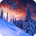 winter wallpapers 4k android application logo